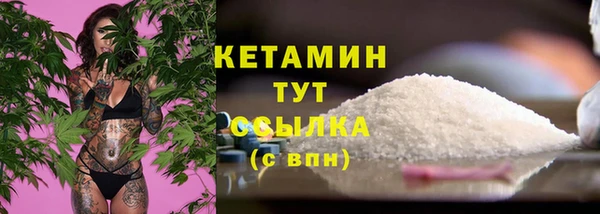 PSILOCYBIN Заводоуковск