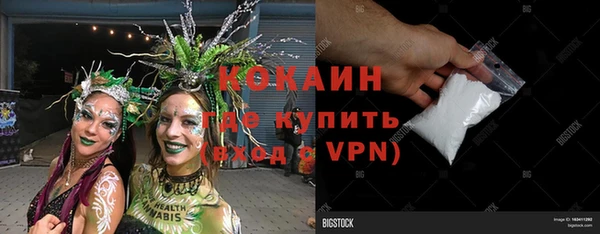PSILOCYBIN Заводоуковск
