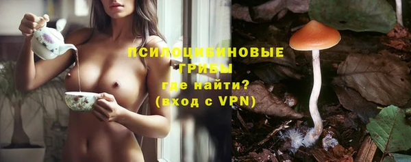 PSILOCYBIN Заводоуковск