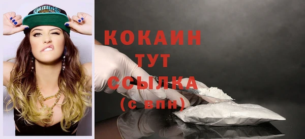 PSILOCYBIN Заводоуковск