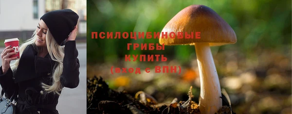синтетический гашиш Заволжье